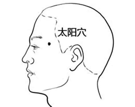 太陽穴附近有痣|痣相圖解：太陽穴上有痣代表你會在遠方求財，還是一。